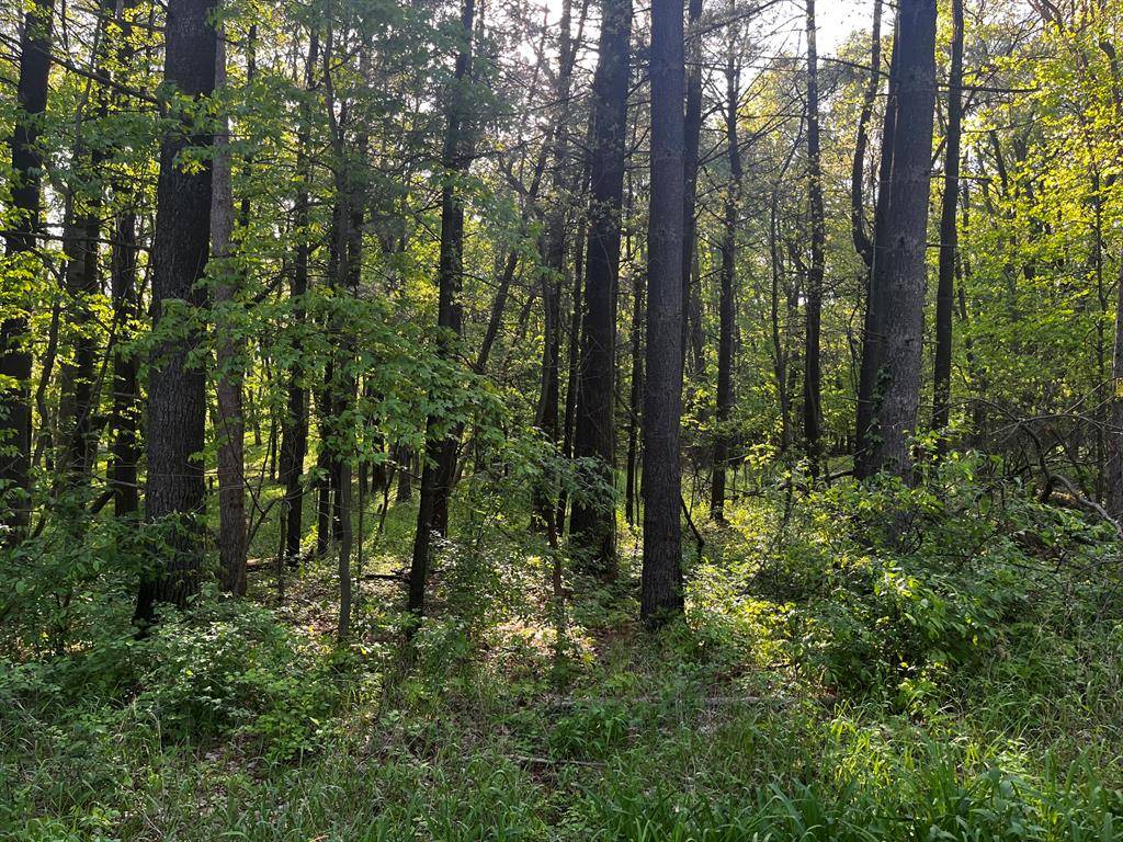 Boston Twp, MI 48881,Parcel A Ivan Road