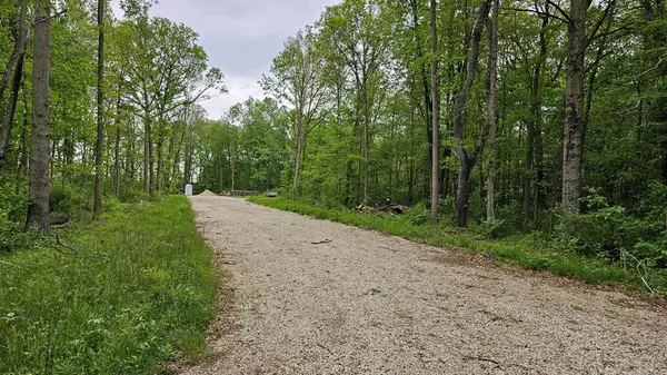 Robinson Twp, MI 49460,11158 Worley Dam Rd