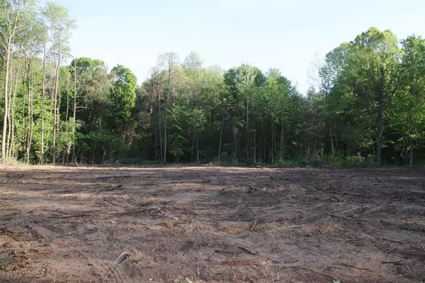 Saugatuck Twp, MI 49408,0 66th Street