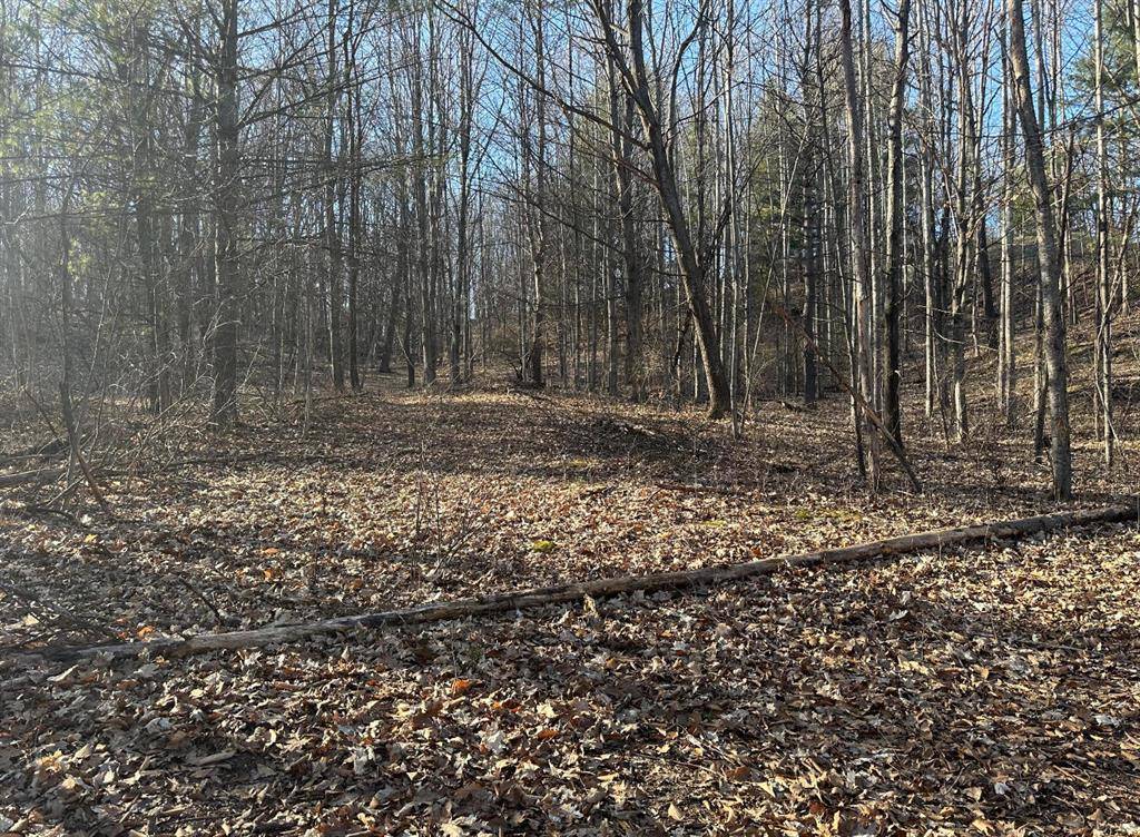 Milton Twp, MI 49676,Lot 104 Orchard HillS