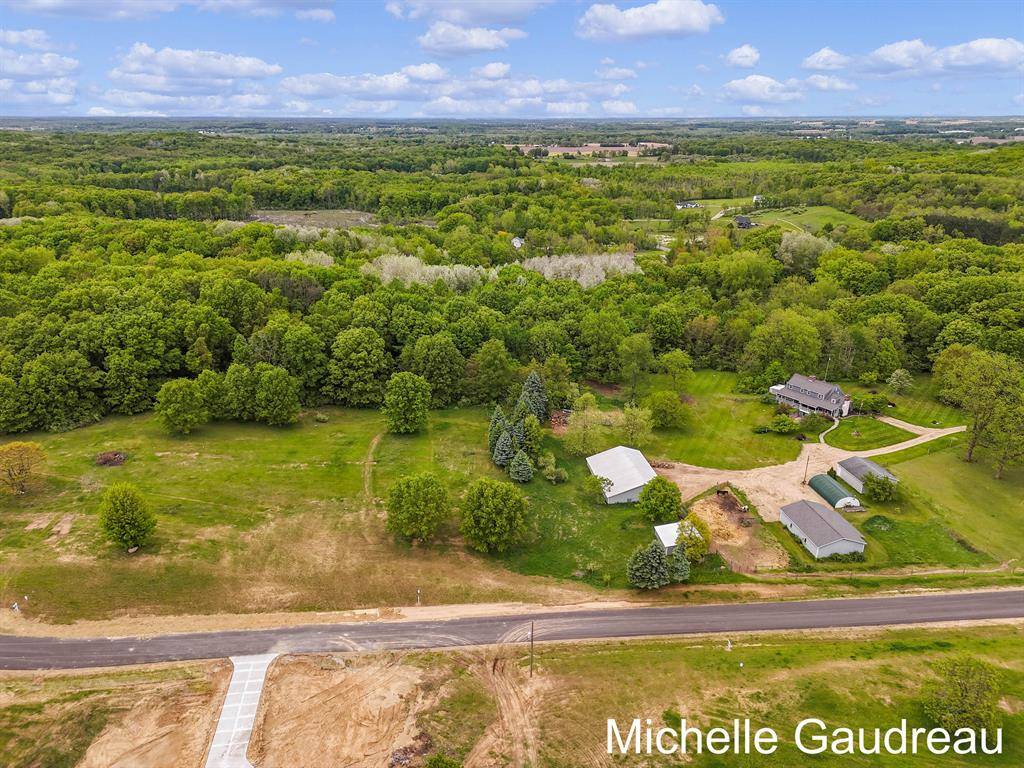 Parcel 10 Leaf Lane, Irving Twp, MI 49325