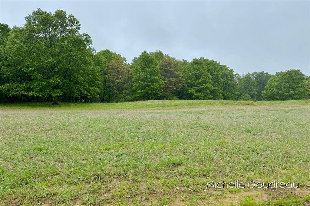Irving Twp, MI 49325,Parcel 8 Leaf Lane