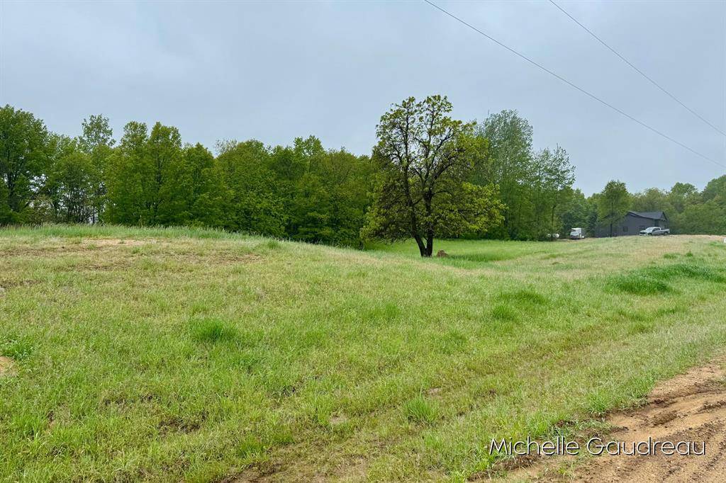 Irving Twp, MI 49325,Parcel 2 Leaf Lane