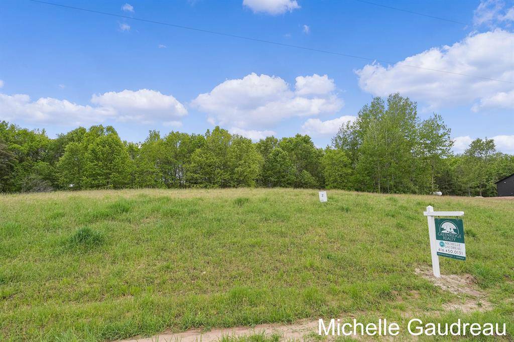 Irving Twp, MI 49325,Parcel 2 Leaf Lane