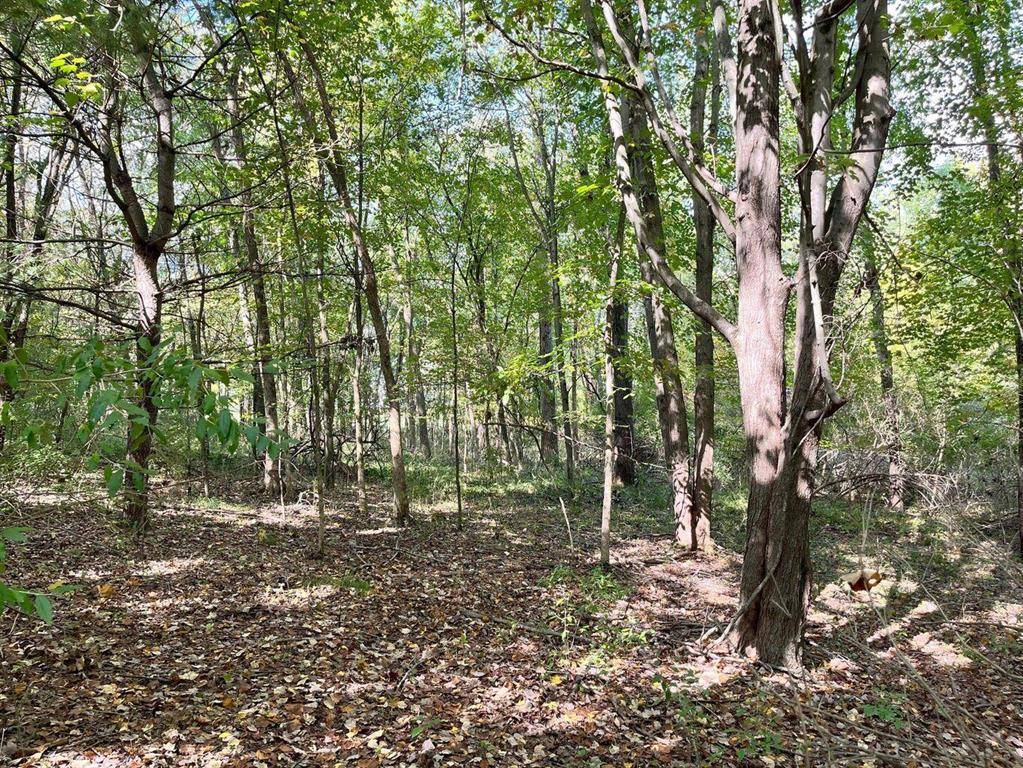 7500 Conservation NE, Ada Twp, MI 49301