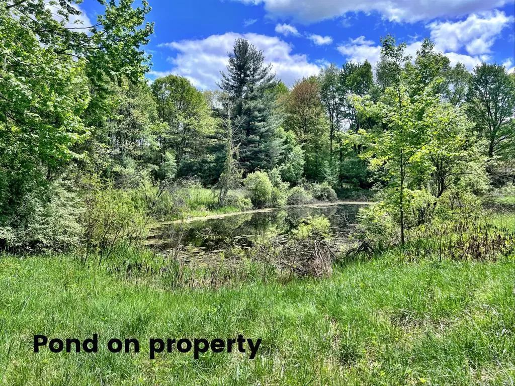 Eureka Twp, MI 48838,10701 Elizabeth Road