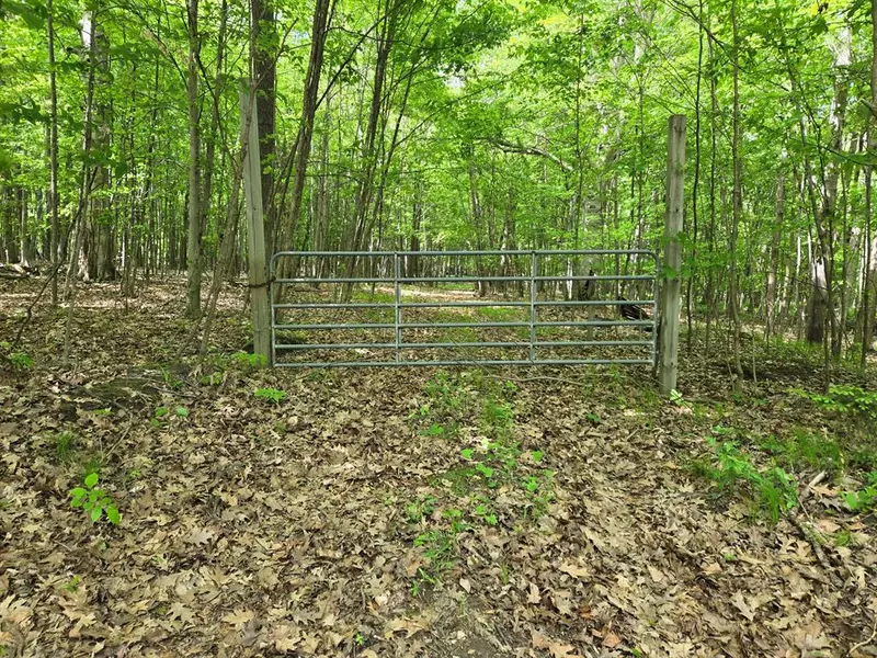 4500 W Wise Road, Sidney Twp, MI 48838