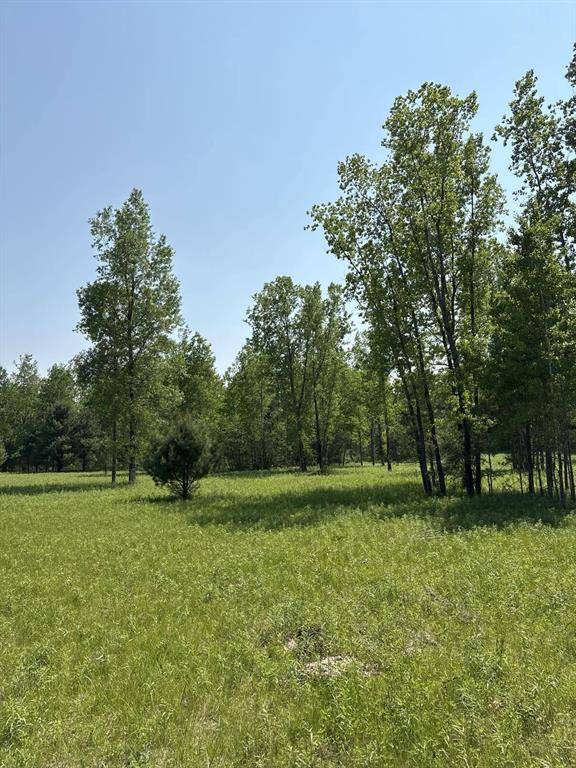 V/L 200th Avenue, Aetna Twp, MI 49336