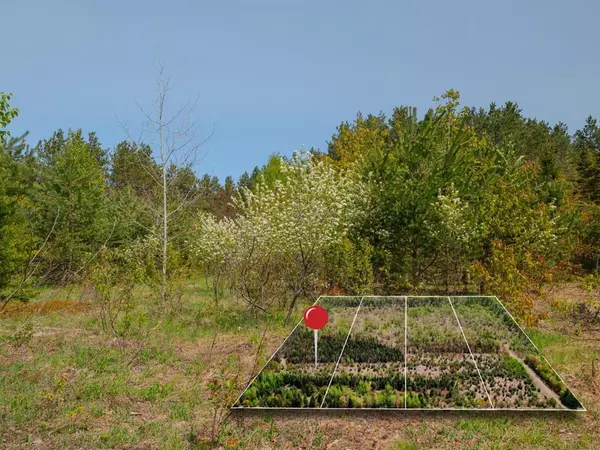 Lot 1 W Pendills Lake Road, Bay Mills Twp, MI 49715