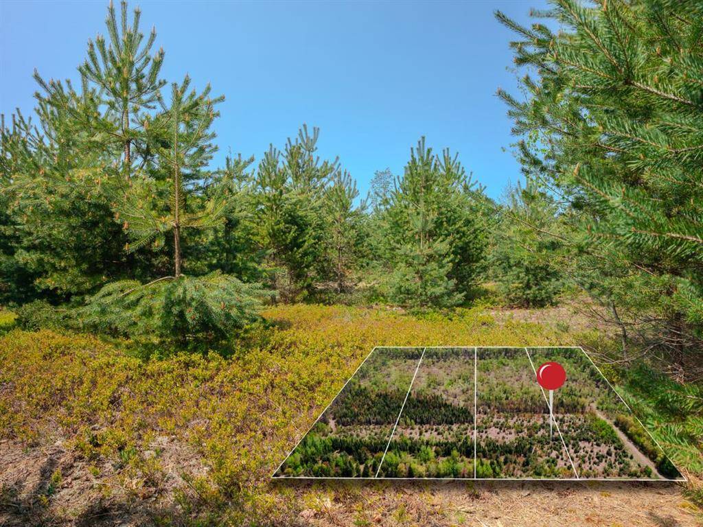 Lot 3 W Pendills Lake Road, Bay Mills Twp, MI 49715