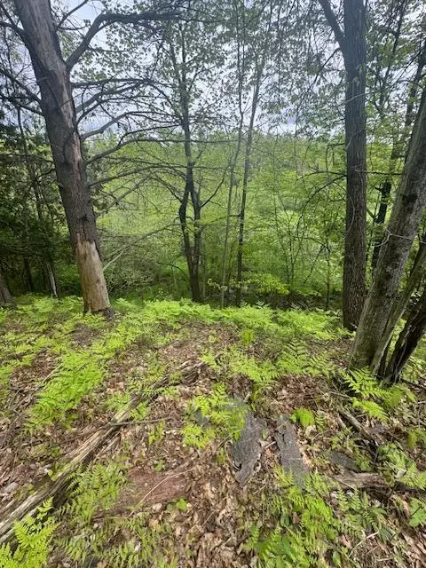 Beaverton Twp, MI 48612,1750 Maple Point Road