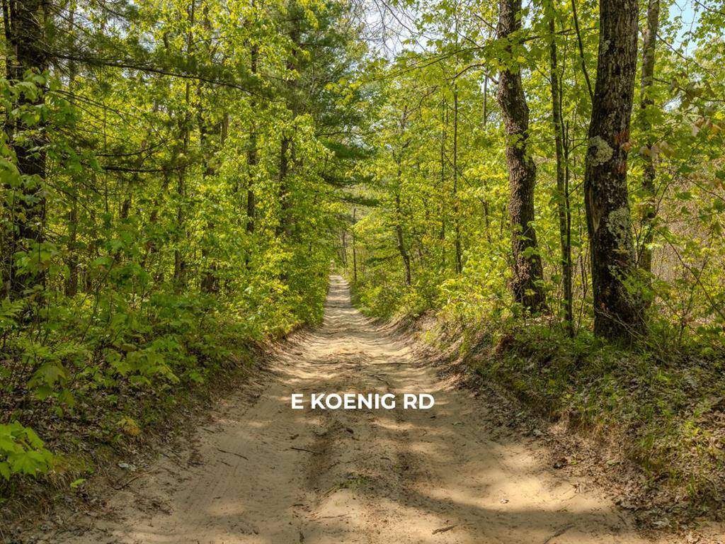 Meade Twp, MI 49411,Lot 4 E Koenig Road