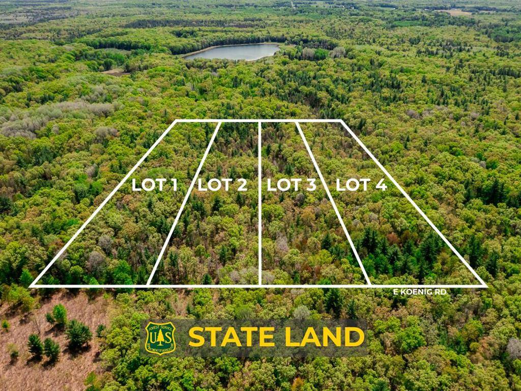 Lot 4 E Koenig Road, Meade Twp, MI 49411