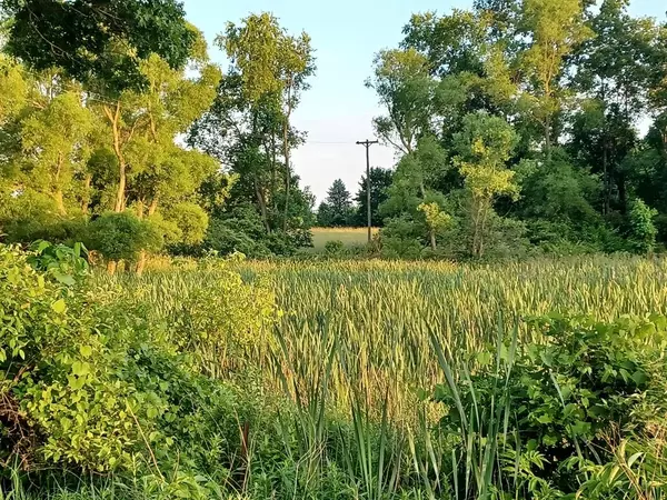 Caledonia Twp, MI 49302,9250 92nd Street SE