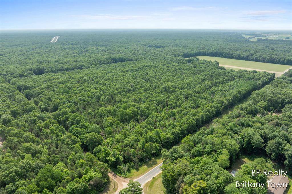Grant Twp, MI 49437,Parcel 8 S 72nd Avenue