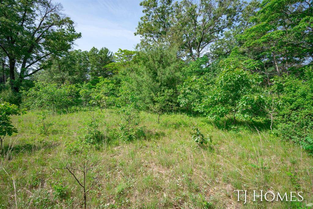 Blue Lake Twp, MI 49457,VL E White Lake Drive