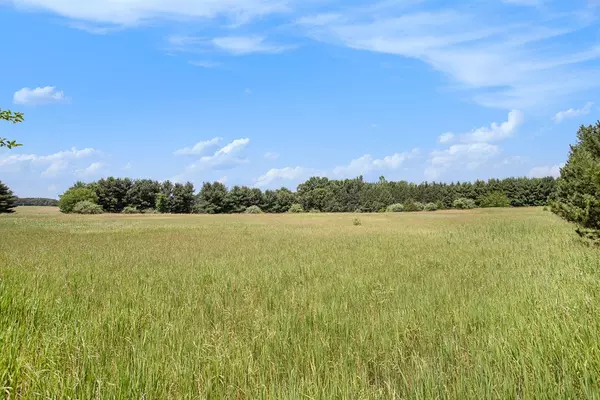 Mendon Twp, MI 49072,VL M-66