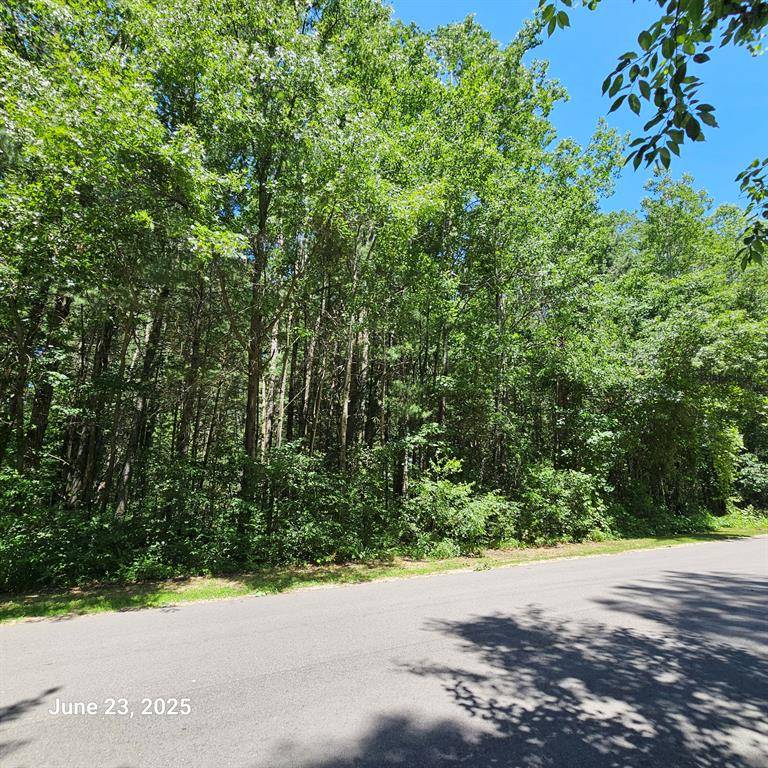 19843 Heights Circle Drive, Mecosta Twp, MI 49307