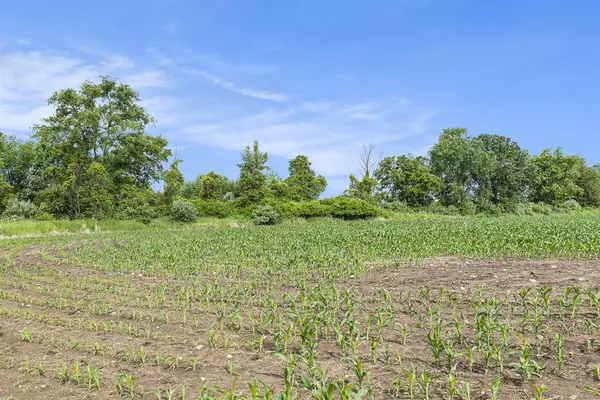Washington Twp, MI 48806,9820 S Bagley Road