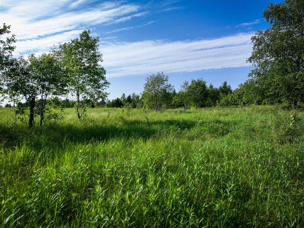 Arvon Twp, MI 49946,Lot 1 Nelson Road