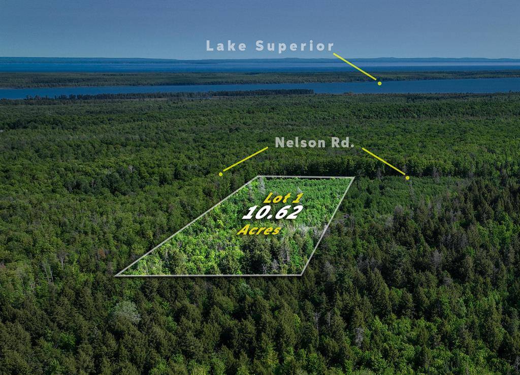 Lot 1 Nelson Road, Arvon Twp, MI 49946