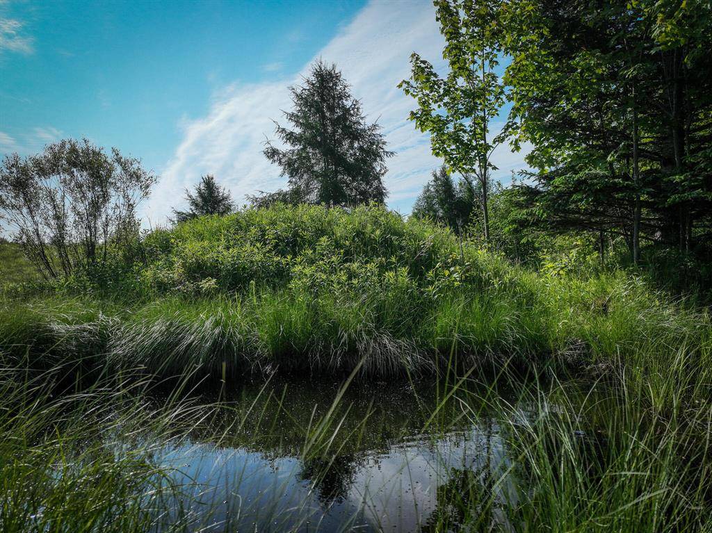 Lot 4 Nelson Road, Arvon Twp, MI 49946