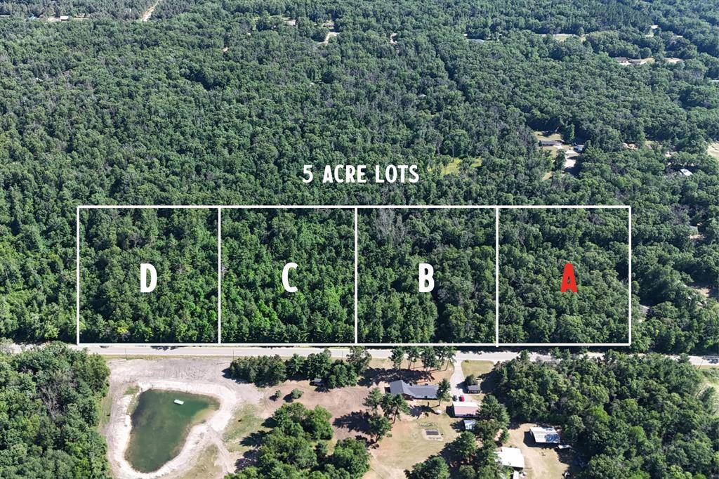 Reynolds Twp, MI 49329,Par A W Almy Road