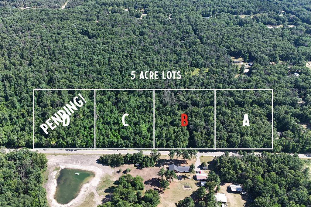 Par B W Almy Road, Reynolds Twp, MI 49329