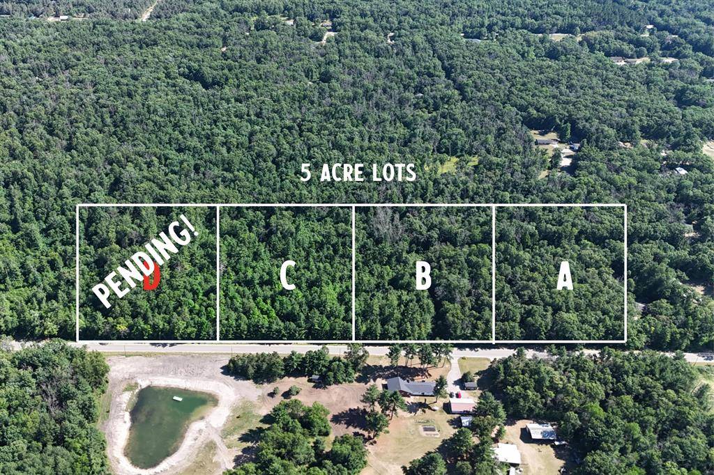 Reynolds Twp, MI 49329,D W Almy Road