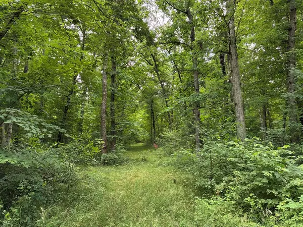 Croton Twp, MI 49337,8934 E 48th Street B