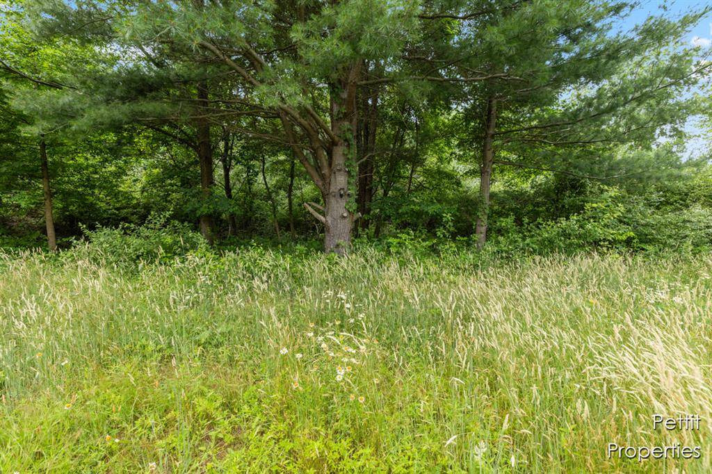 Sullivan Twp, MI 49448,6804 S Maple Island Road