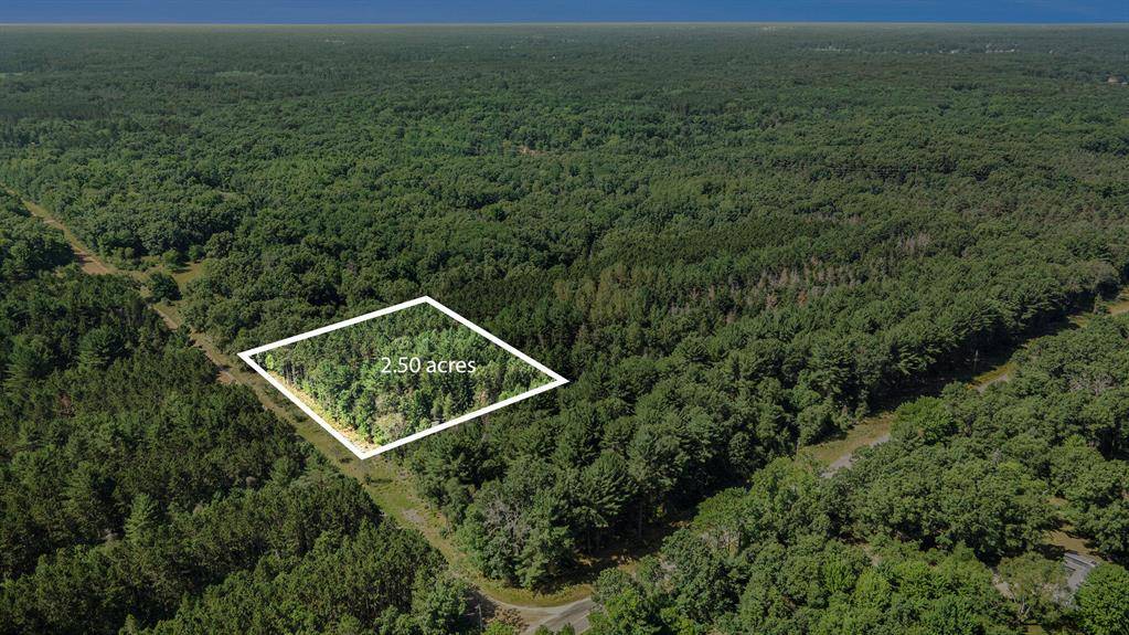 Lot C 85th Street, Morton Twp, MI 49332