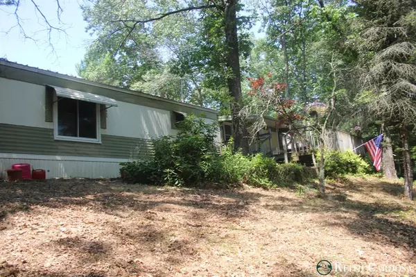 4855 Juniper Ridge Avenue, Big Prairie Twp, MI 49337