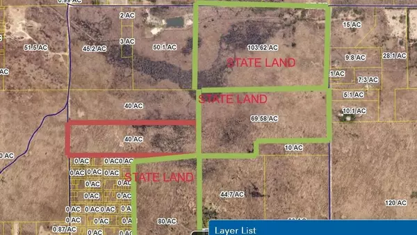 Lee Twp, MI 49450,40 acres 52ND Street