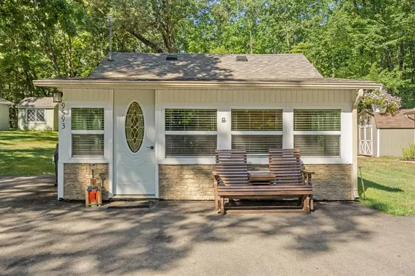 9593 W School Section Lake Drive, Morton Twp, MI 49332
