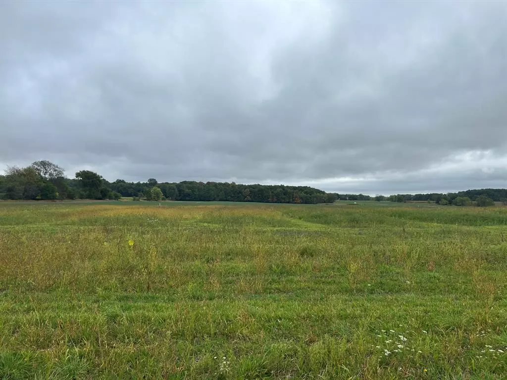 Woodland Twp, MI 48897,Parcel 2 Woodland Road