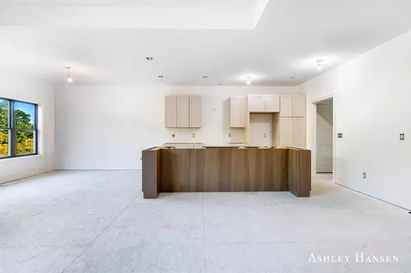 Courtland Twp, MI 49341,11035 Shaner Avenue NE