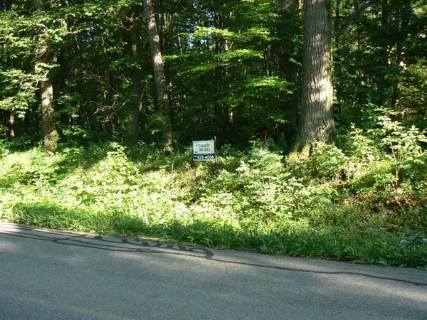 E Bristol Road, Johnstown Twp, MI 49050