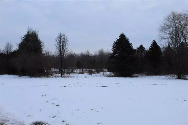 Almena Twp, MI 49079,Hidden Pines Drive