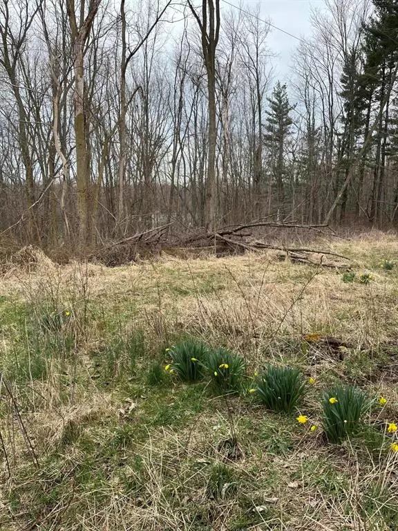 Trowbridge Twp, MI 49010,628 32nd Street