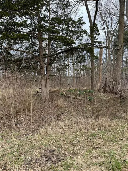 628 32nd Street, Trowbridge Twp, MI 49010