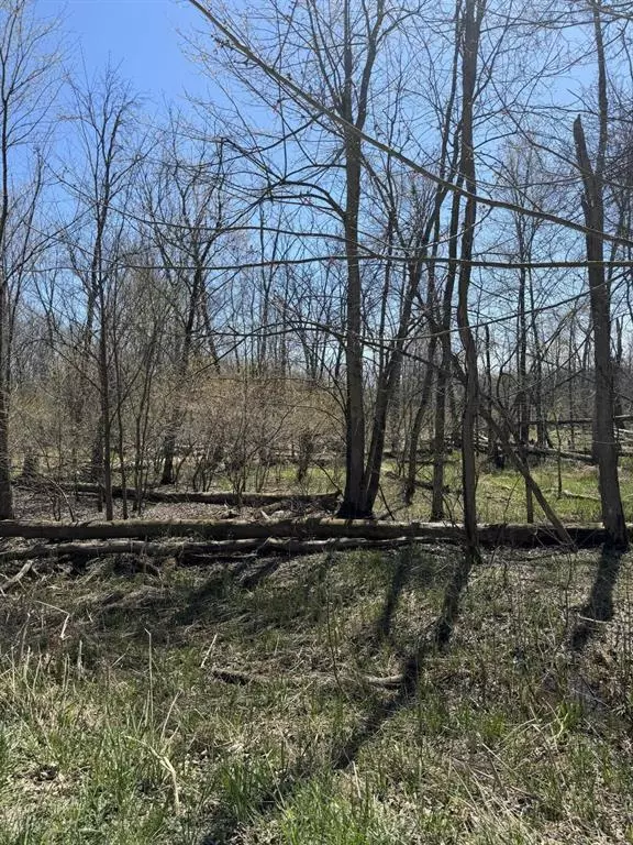 VL 18th Avenue, Columbia Twp, MI 49056