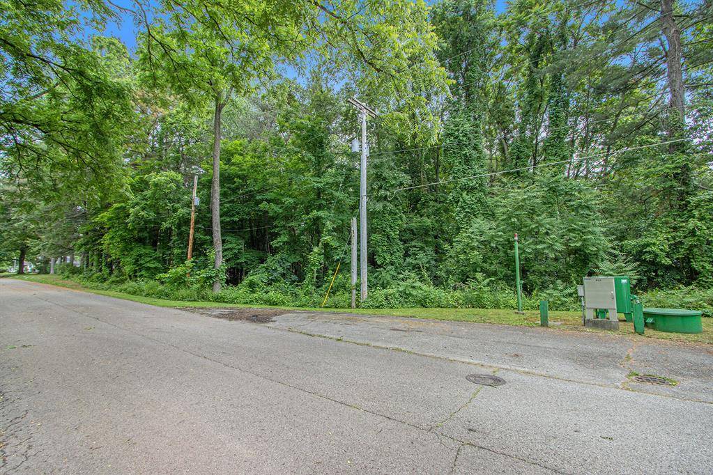 Allegan, MI 49010,171 Thomas Street