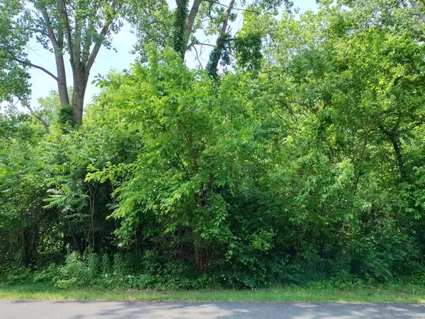 Otsego Twp, MI 49078,Briarwood Drive Modifier: 1.75 Ac
