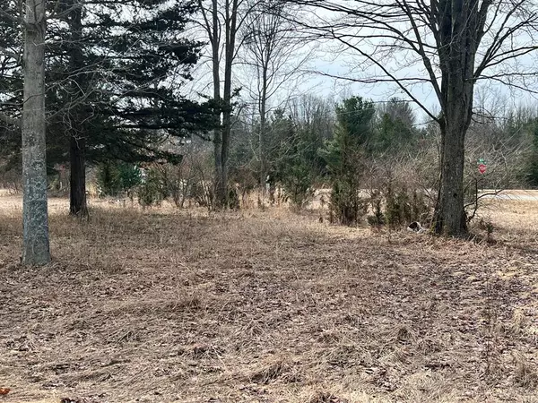 Lee Twp, MI 49056,VL 54th Street