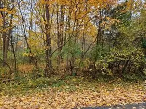 Casco Twp, MI 49090,V/L Macbeth