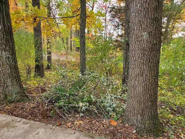 Barry Twp, MI 49046,VL N Shore Drive