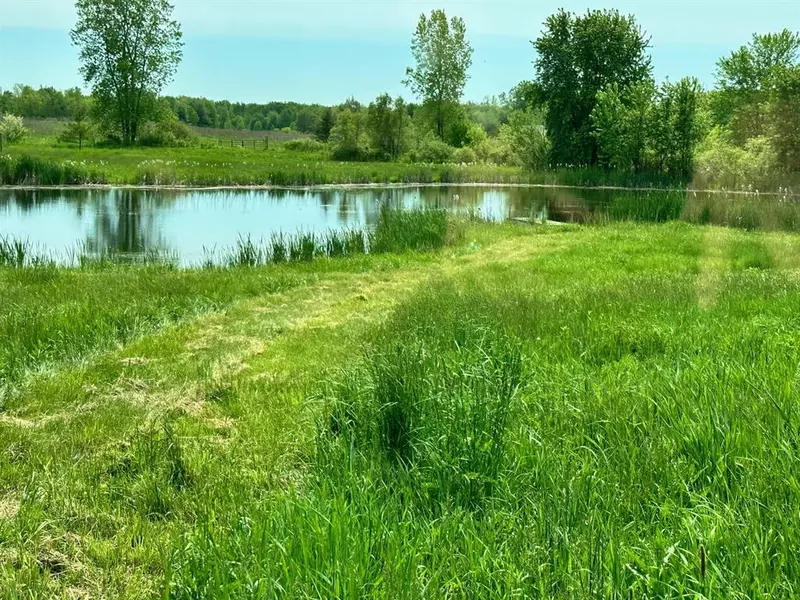20th Avenue, Bloomingdale Twp, MI 49055