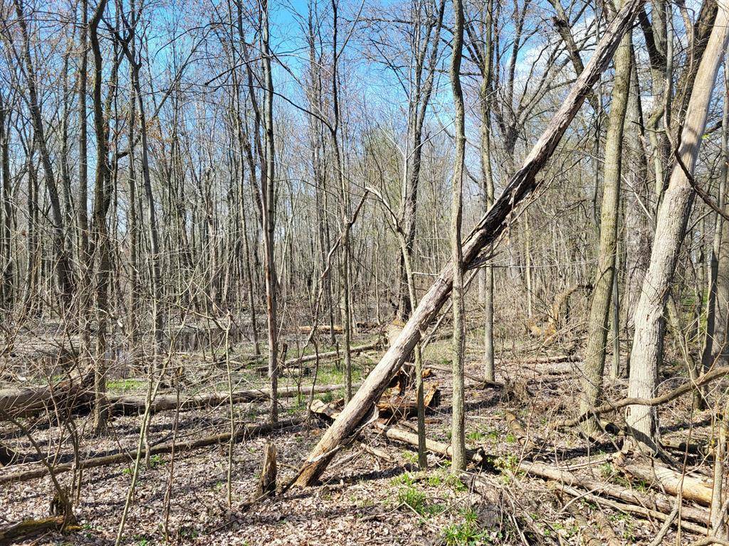 Cheshire Twp, MI 49010,V/L Burton Drive