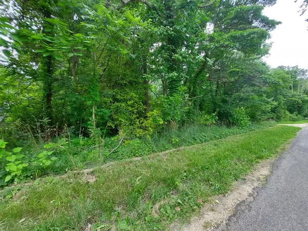 Arlington Twp, MI 49026,24th Avenue Lots 15,18,19